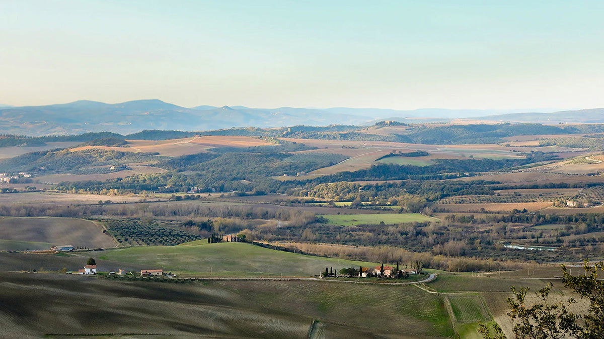 Frantoio Franci