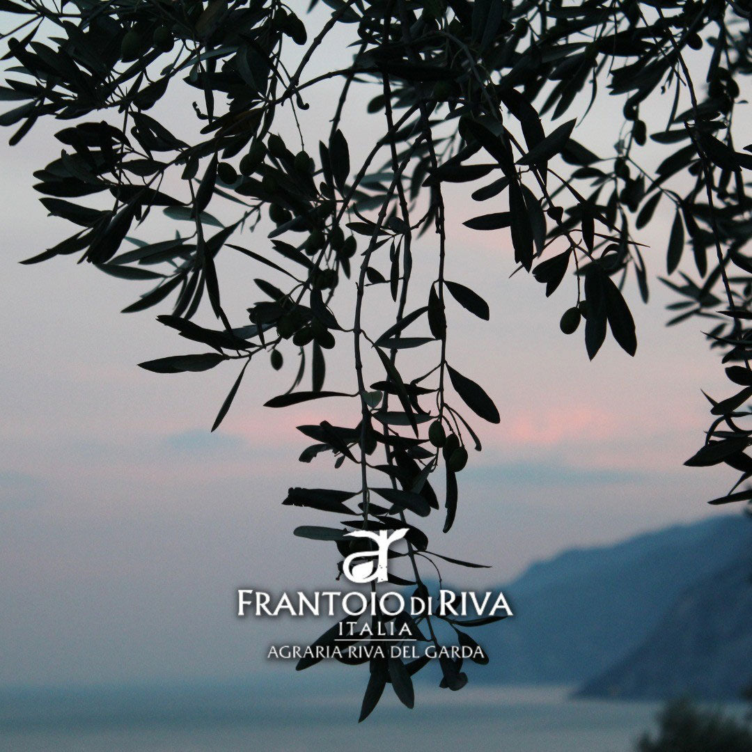 oliwa z oliwek extra virgin - 46° Paralello Blend - Frantoio di Riva - Slow Italy